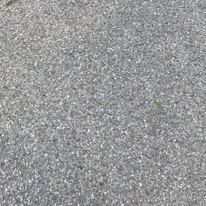 Meet your Posher, Carter